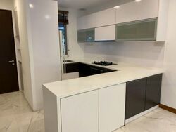 Radiance @ Bukit Timah (D21), Terrace #485923321